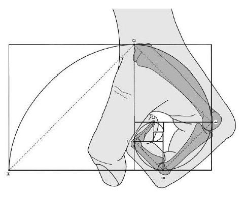 image01-fist-of-fibonacci