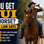 Can You Get A DUI On A Horse