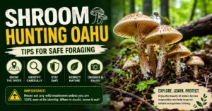 Shroom Hunting Oahu